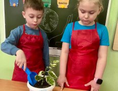 Международный день защиты Земли